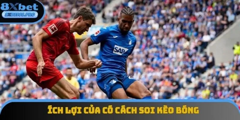 Có phương pháp soi kèo sẽ giúp bạn giảm tối đa rủi ro nhận về Có phương pháp soi kèo sẽ giúp bạn giảm tối đa rủi ro nhận về