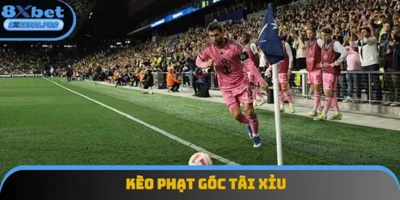 Tài xỉu là một dạng cược góc phổ biến nhất Tài xỉu là một dạng cược góc phổ biến nhất