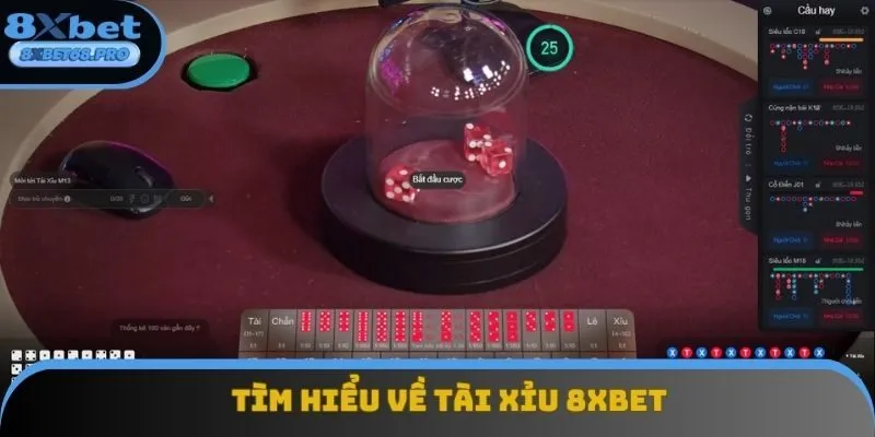 Tài Xỉu 8xbet: Cá Cược Xanh Chín, Thưởng Siêu Hấp Dẫn